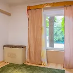 Apartman Bubu- Butterfly's *